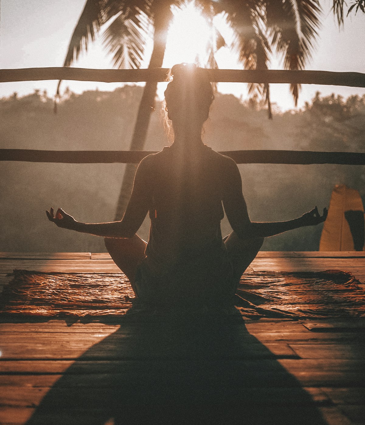 Wilhelm Reich e a Energia da Vida: A Relação Entre Emoções, Couraças e Saúde